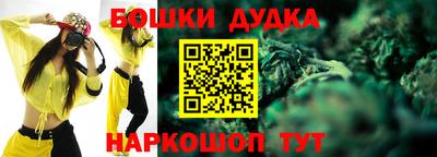индика Апшеронск