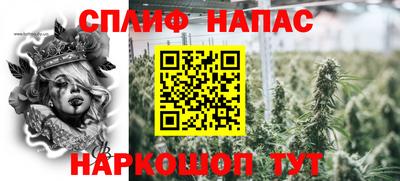индика Апшеронск